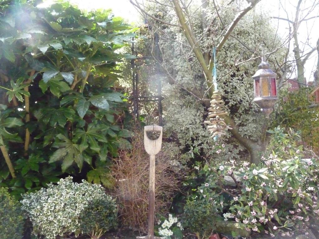 Greenwood Guest House, Weymouth Luaran gambar